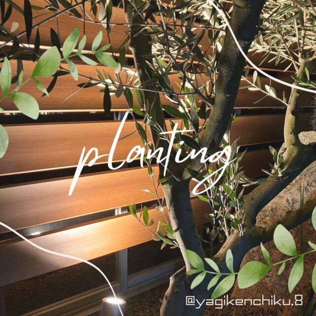 -
------------
 Planting
------------

☆植栽
お家の外観を彩る植栽。
視覚的に生活を豊かに。心も豊かに。
�それだけではなく、室温の調整、目隠し、防音、防風、防火の効果も。
お家の周りをそんな癒し空間にするのはいかがですか？

= = = = =

一緒に「住まいづくり」しませんか？

近年はSNSの写真や記事を見てたくさん「住まいづくり」の勉強しているお客様が大勢いらっしゃいます。
それぞれに個性的でセンスあふれるお客様と会話しながら一緒に「住まいづくり」をするのはとても楽しい時間です。
商品力の高いハウスメーカーの建物も魅力的ではありますが、工務店ならではの対応力、瞬発力、提案力はこれからの「住まいづくり」において見逃せない要素ではないでしょうか。

SNS全盛の時代だからこそ、自由度の高い工務店での「住まいづくり」をオススメします。

私たちは、誰よりも住まいづくりを一緒に楽しむ自信があります！！

お気軽にお問い合わせください。
是非一度お会いしましょう。

@yagikenchiku.8

= = = = =
☎︎ 090-1783-8210
✉︎ info@honeyhouseclub.com
@yagikenchiku.8

= = = = =

HONEY HOUSE CLUB
HP ：https://www.honeyhouseclub.com/
TIME：9:00〜18:00

= = = = =

#八木建築工業 #焼津市 #静岡工務店 #建築 #家づくり #自由設計 #マイホーム計画 #注文住宅 #新築一戸建て #zeh住宅 #家づくりを楽しむ #インテリア #暮らしを楽しむ #こだわりの住まい #住宅デザイン #家づくり計画　#honeyhouseclub #シンプルホーム#カフェ風住宅#ガーデニング#植栽#リノベーション#リフォーム#おしゃれな家#ナチュラル#藤枝#大井川#暮らしを楽しむ#建売住宅#建売に見えない建売#家づくりのアイデア帖